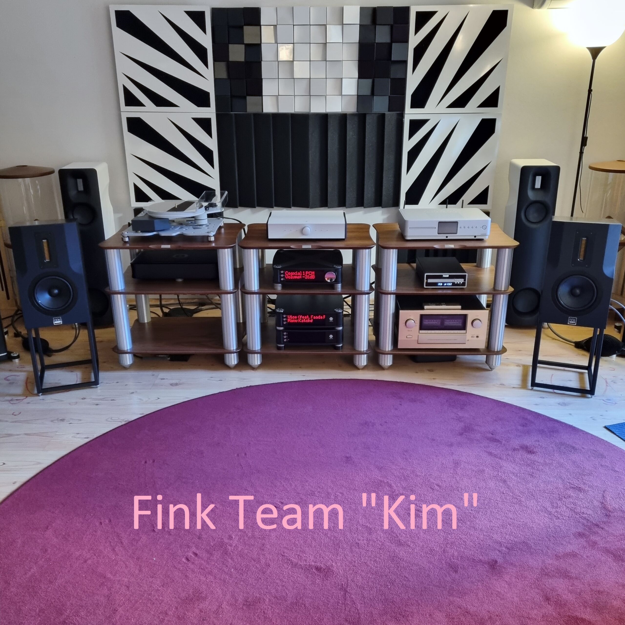Fink Team Kim